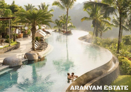 Aranyam Estate feature-image
