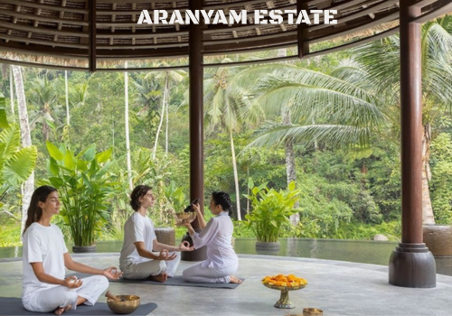 Aranyam Estate feature-image